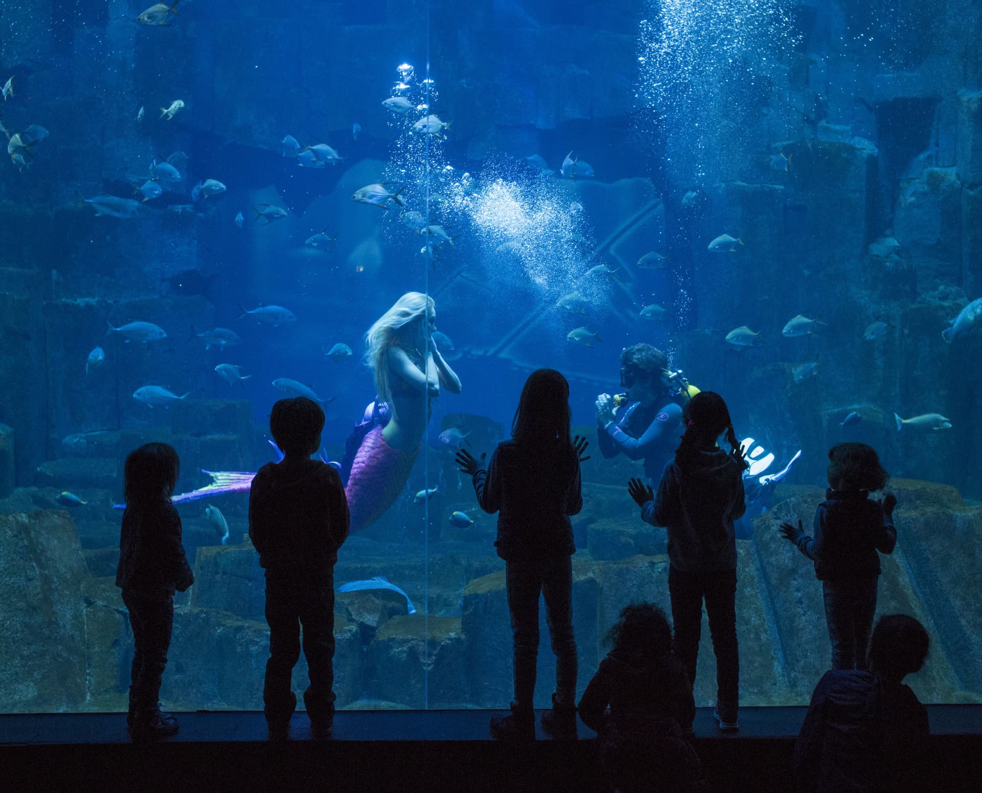 The Paris Pass: Save up to 50% on Attractions - image 21